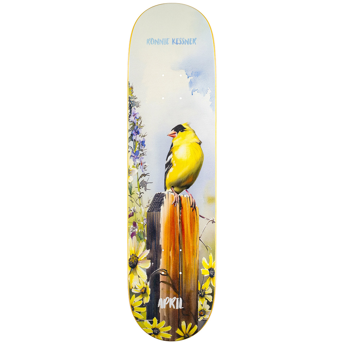 April Ronnie Kessner Gold Finch Skateboard Deck 8.25