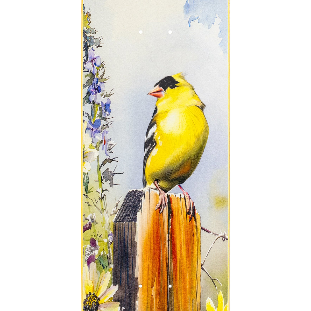 April Ronnie Kessner Gold Finch Skateboard Deck 8.25