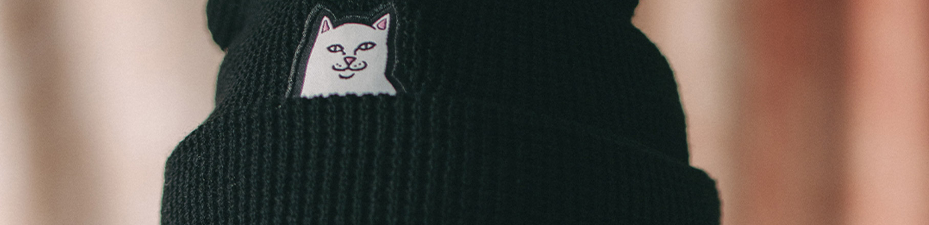 RIPNDIP